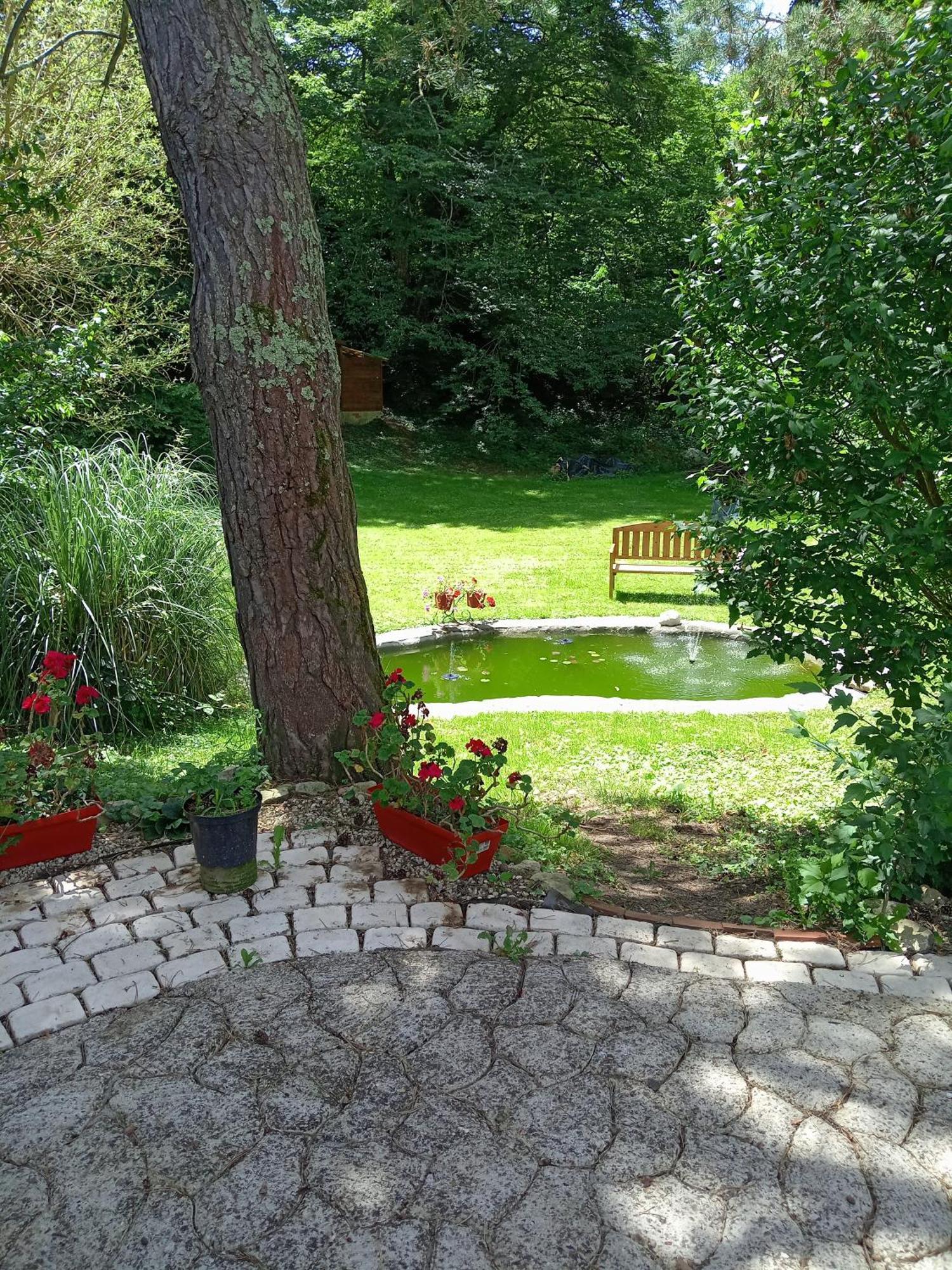 Chambres D'Hotes Du Moulin Saint-Julien-sur-Cher Exteriör bild